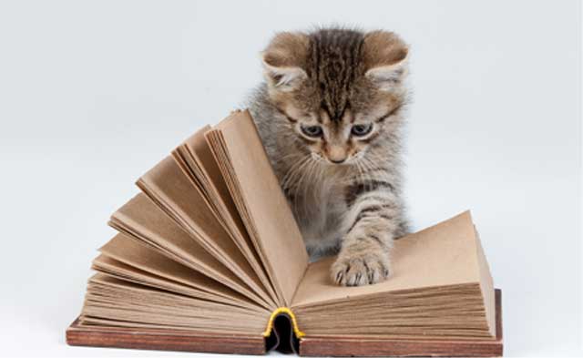 Books & Pets, libri contro l’abbandono nella foto un gattino che legge un libro